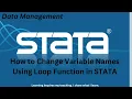 2 How to Change Variable Names Using Loop Function in STATA