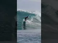 Download Lagu SURFING MENTAWAI SEPTEMBER GOODNESS #luxurysurfresort #surf #indonesia #mentawai #waves #family #