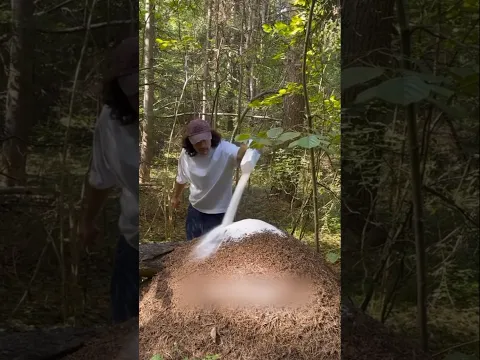He Tried This Strange Experiment in the Forest! π³π₯ #Shorts