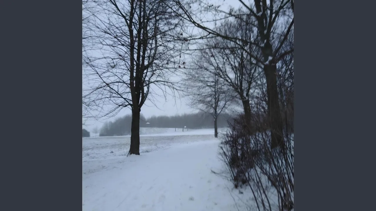 Winter's Elegy Winter's Elegy