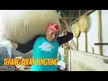 Download Lagu TERANG BULAN TENGTENG | JEJAK SI GUNDUL (23/05/22)