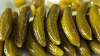                                                                                        دندنها
