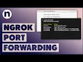 How To Setup Ngrok HTTP and TCP Tunnels Port Forwarding