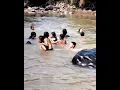 Download Lagu Mandi di sungai seru daripada di kolam #short