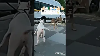 هوم بوندا وانا وحدي 