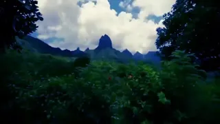 يارب انك مالك امر الورى 