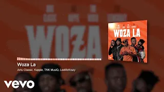 amu classic kappie tnk musiq woza la visualizer ft leemckrazy