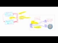Is OpenFlow SDN