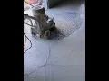 Download Lagu Making terrazzo floor process