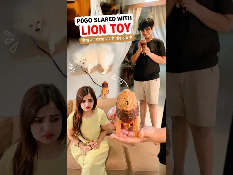 Kya pogo dara LION TOY se🦁🤣🐶 #youtubeshorts #funny #cutedog