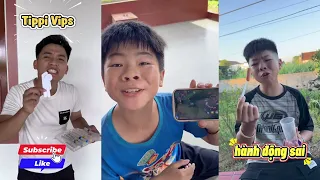 Tổng Hợp Các Video Hay Nhất Của Team Tippi Phần 52 | Tippi Vips #tippitv #tippivips