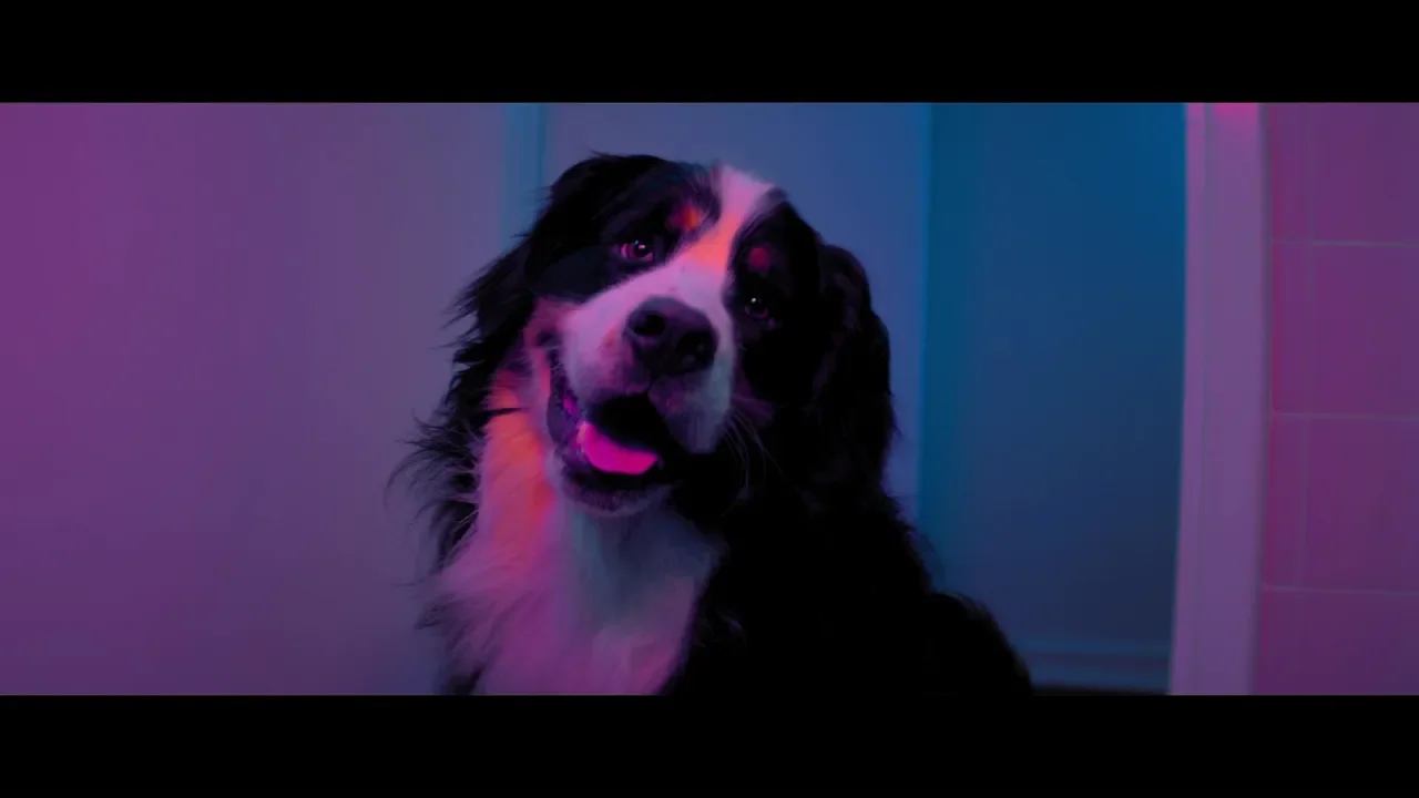 Shangrila - Happy (OFFICIAL MUSIC VIDEO) Shangrila - Happy (OFFICIAL MUSIC VIDEO)