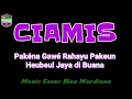 Download Lagu Lagu Ciamis Pakena Gawera Hayu Karaoke Original