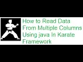 How to Read Excel Data from Multiple Columns Using java in Karate Framework