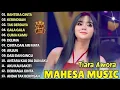 Lagu BAHTERA CINTA, KERINDUAN, TAK BERDAYA - TIARA AMORA FULL ALBUM DANGDUT KOPLO MAHESA