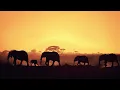 Ten Walls - Walking with Elephants (Original Mix)