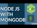 Node JS with MongoClient MongoDB