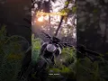 Download Lagu aisi deewangi se main chahun tujhe.❤️🩹😍. #ktmrc390 #ktm #ktmduke390 #ktmindia #instagood #instagram Download Lagu aisi deewangi se main chahun tujhe.❤️🩹😍. #ktmrc390 #ktm #ktmduke390 #ktmindia #instagood #instagram