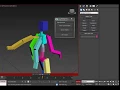 maxscript CAT mirror tool demo