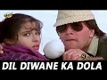 Dil Deewane Ka Dola Dildar DJ Jhankar