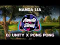 DJ Unity X Pong Pong - DJ Terbaru 2020 — DJ TikTok Viral | Nanda Lia Remix