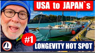 One Year in Japan and Never Anchored!   #anchor #japan #bluezone