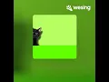Back To Black(InVersions|Explicit)