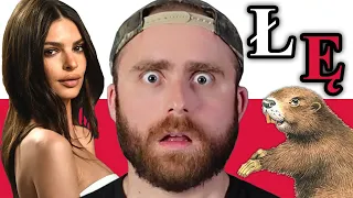 Language Review: Polish