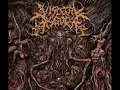 Visceral Disgorge - Force Fed Shredded Genetalia (Lyrics)