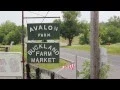 Farmers Market - Produce Market Warrenton VA