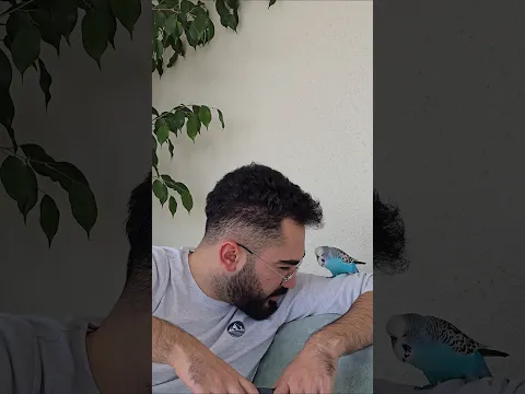 Sabır Nasıl Sınanır ? 😅 #shortvideo #muhabbetkuşu