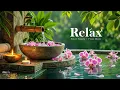 Lagu Relaxing Nature Sounds from a Bamboo Forest with Flowing Water