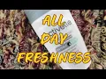Best Budget Deodorant Activelle Invisible Fresh Anti perspirant Honest Review 48 Hour Protection