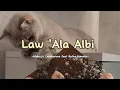 Download Lagu Law 'Ala Albi -Muhajir Lamkaruna feat Ratna Komala (Speed up)