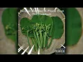 Download Lagu Genjer-Genjer [ PHONK REMIX ] Prod.Madekipak