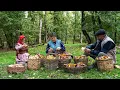 Lagu Autumn Forest Mushrooms โ Collecting and Pickling ๐