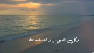 الدنيا بترتيب صدف وائل جسار 