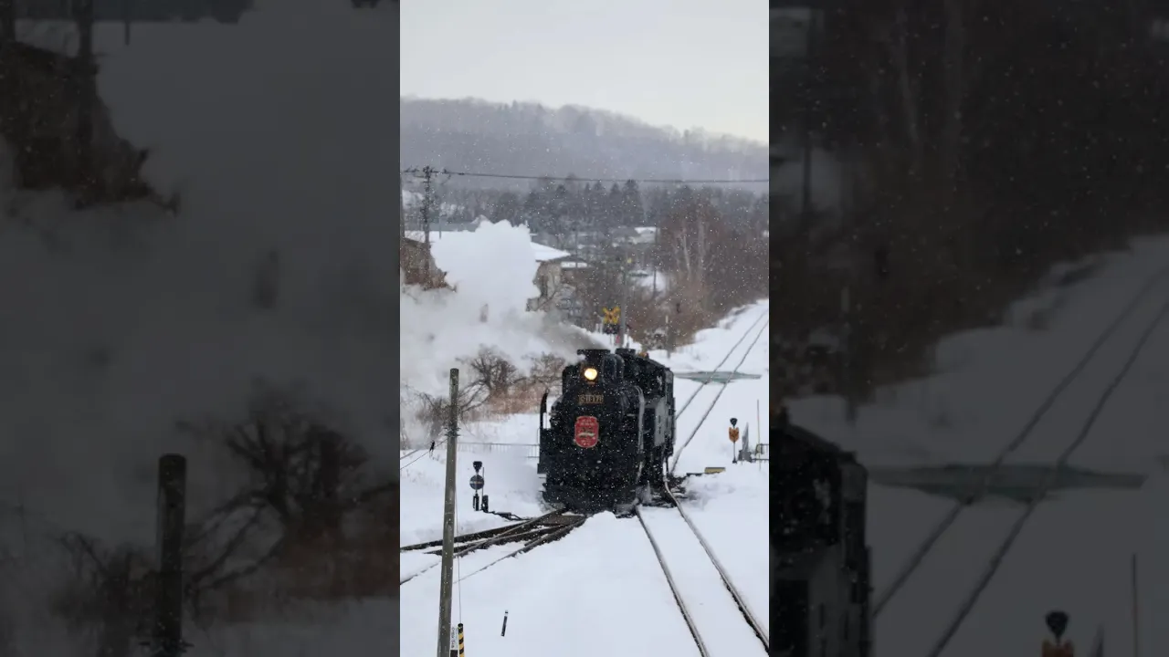 人生初のSLに乗ってきた！！！?#旅行Vlog #北海道