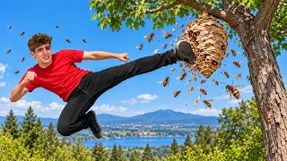 🐝Tumbo Peligrosas Avispas Gigantes🐝