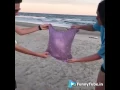 The Satisfaction Bubble GIF-Funny Tube