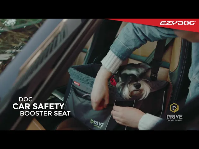 EzyDog Drive Car Booster Seat