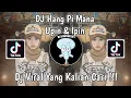 Download Lagu DJ HANG PI MANA UPIN IPIN VIRAL TIK TOK TERBARU 2023 YANG KALIAN CARI !