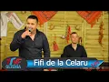 Lagu BELEA de SARBE ❌ Fifi de la Celaru ❌ Cele mai ale DRACU SARBE de joc ❌Muzica de petrecere