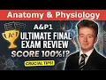 1 Hour A P 1 Final Exam Review 50 Practice Questions to help Pass Your Final