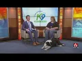 Watch Animal Trainer Mary Green Talks About Behavior Problems With Your Dog
