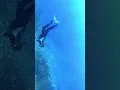 Download Lagu ketika laut membuat perasaan kita lebih tenang #snorkeling #snorkelingtrip #trip #wateractivity