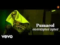 Pumacol - Ngavadyiwe Dyiwe (Official Video)