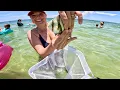 Spent a week in Gulf Shores Alabama and survived the ocean - kind of