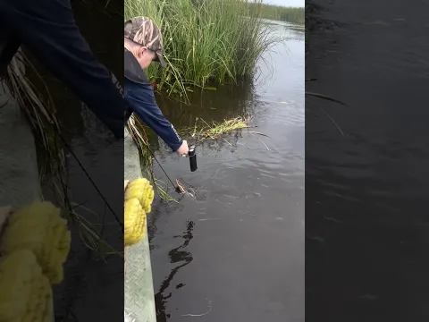 From making piles of gators, to jug lining for gar these guys did it all!