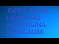 DEEP BLUE - iZek  - PsyTrance - arr. Snelle Fjöll - Orkester Mandolina Ljubljana - dir. Andrej Zupan